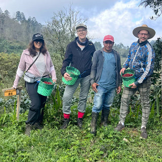 Auf Kaffeereise in Honduras – Zwischen Dschungel, Kaffeefarmen und eigenen Kaffeebäumen